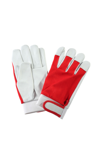 ROKAVICE GOLF – 1019638 - Zeshop